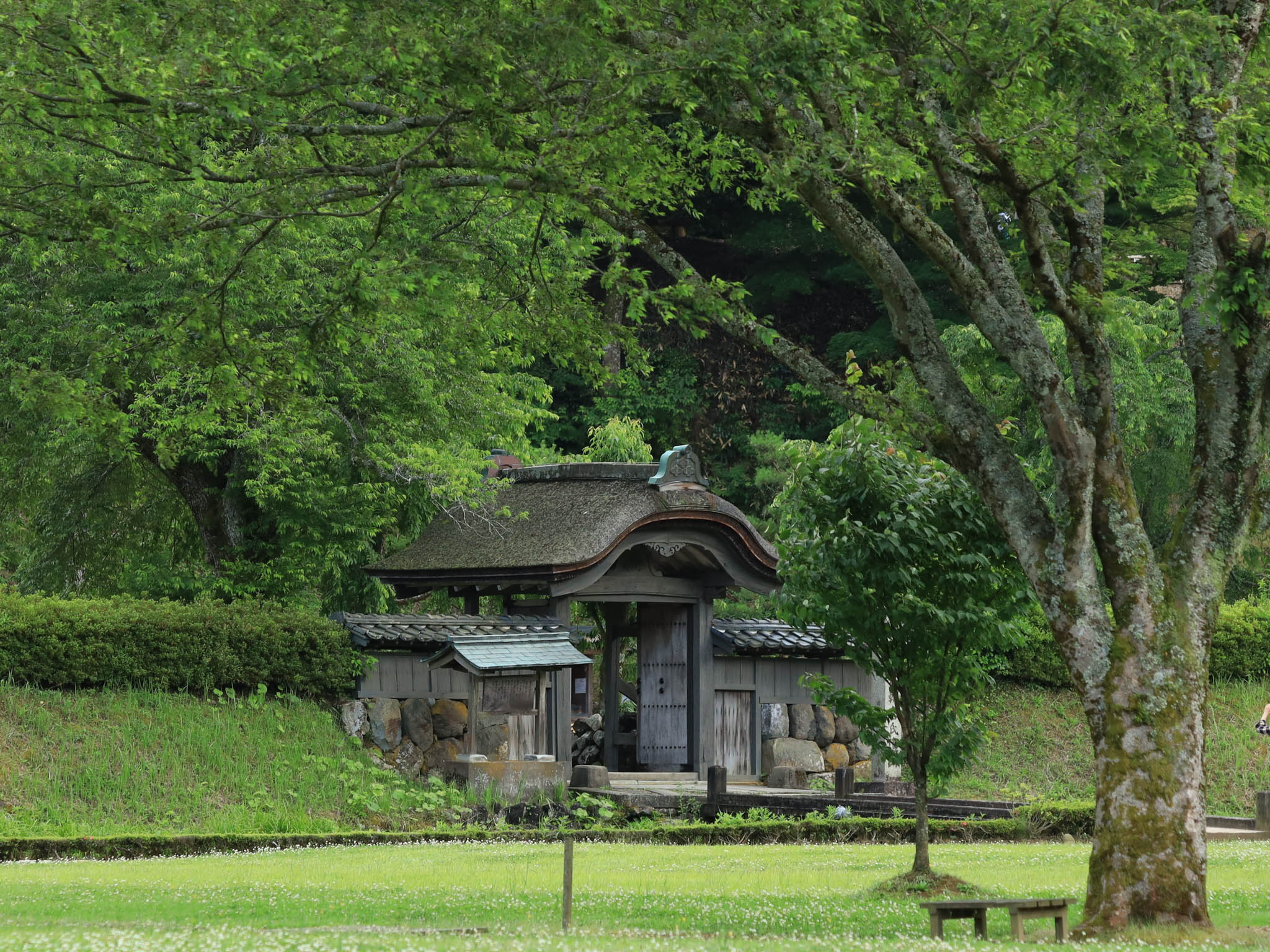 一乗谷朝倉氏遺跡